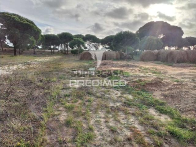 Terreno em Melides
