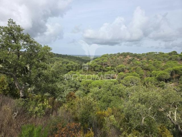 Terreno em Melides