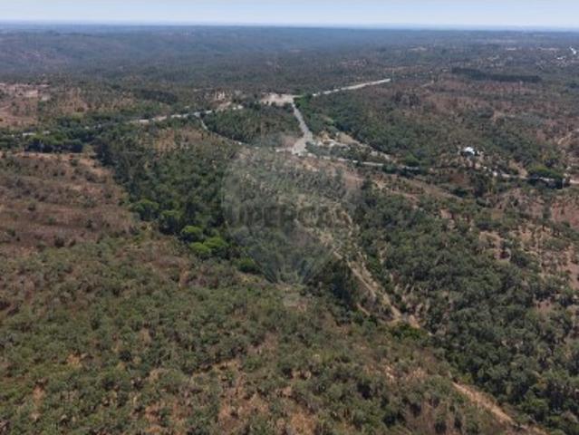 Terreno em Melides