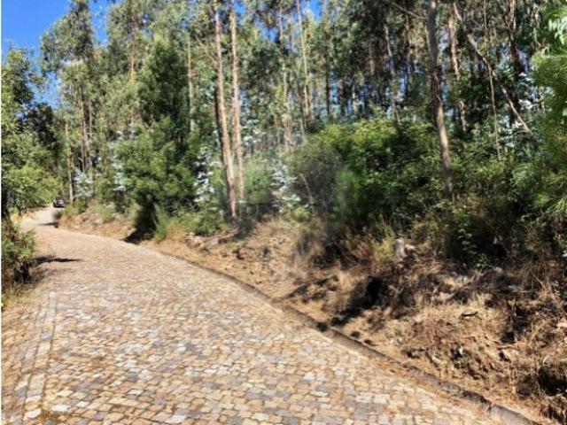 Terreno em Melres e Medas
