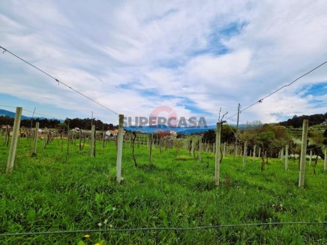 Terreno em Messegães, Valadares e Sá
