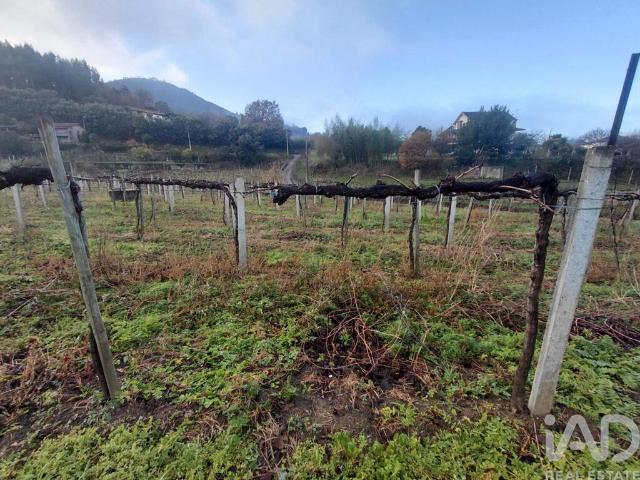 Terreno em Messegães, Valadares e Sá