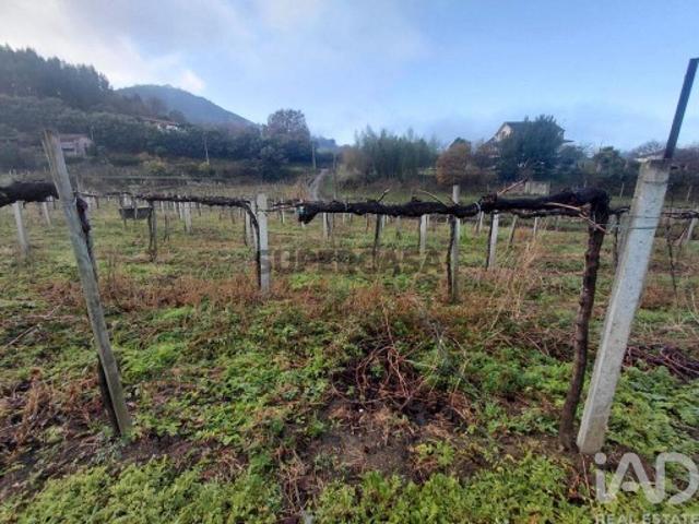 Terreno em Messegães, Valadares e Sá