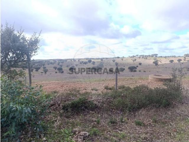 Terreno em Mértola