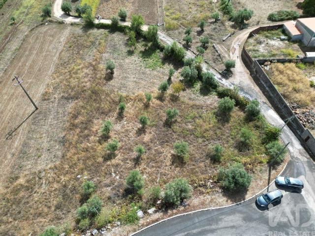 Terreno em Mira de Aire