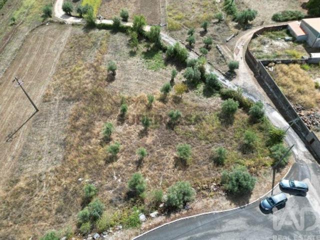 Terreno em Mira de Aire
