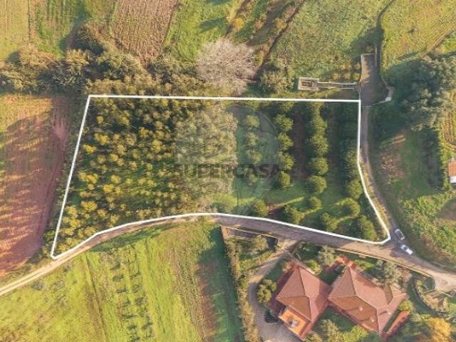 Terreno em Miragaia e Marteleira