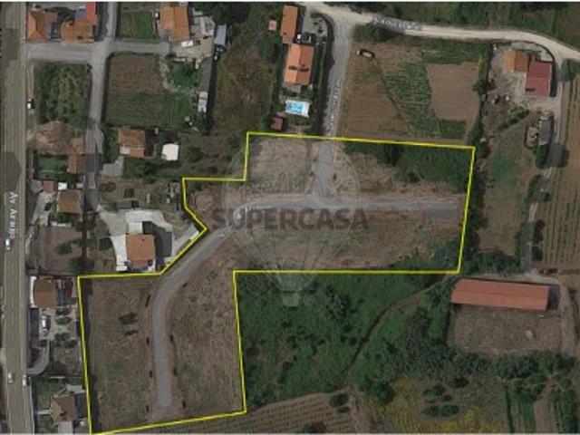 Terreno em Miragaia e Marteleira