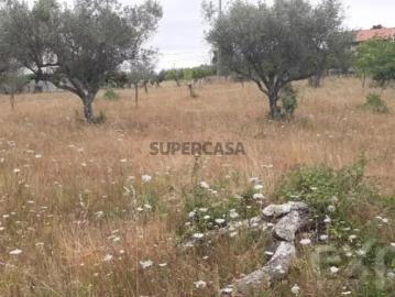 Terreno em Bouça