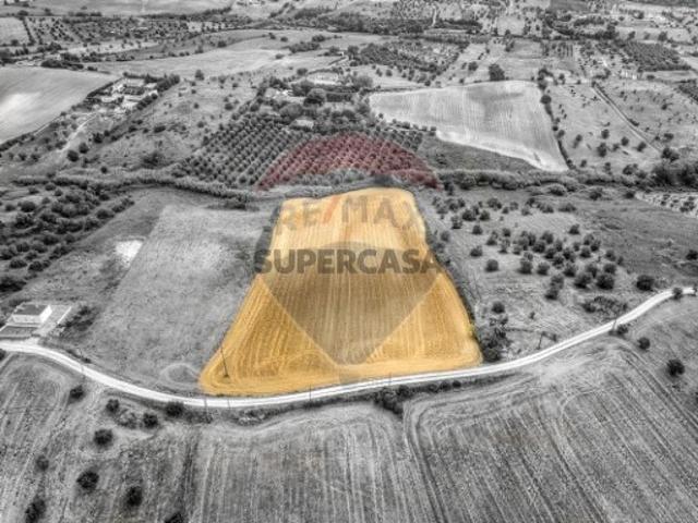 Terreno em Moçarria