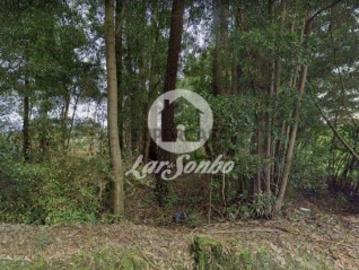 Não urbanizável em Modivas