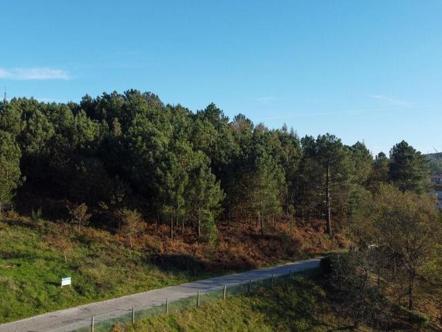 Terreno em Moledo de 9040,00 m²