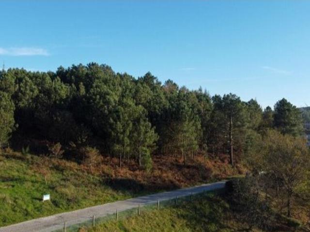 Terreno em Moledo de 9040,00 m²