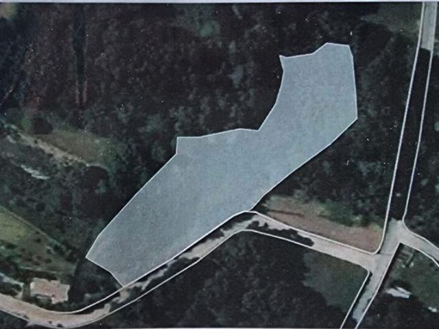 Terreno em Moledo e Cristelo de 4950,00 m²