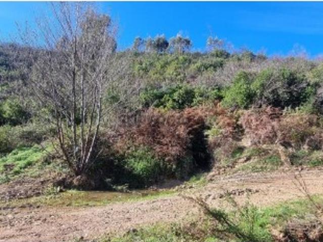 Terreno em Monchique
