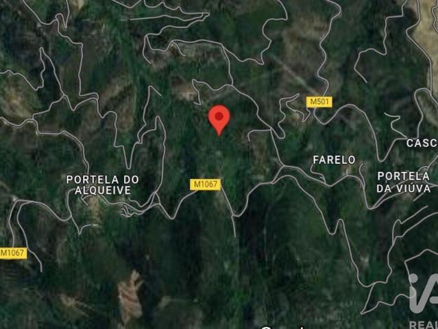 Terreno em Monchique de 21984,00 m²