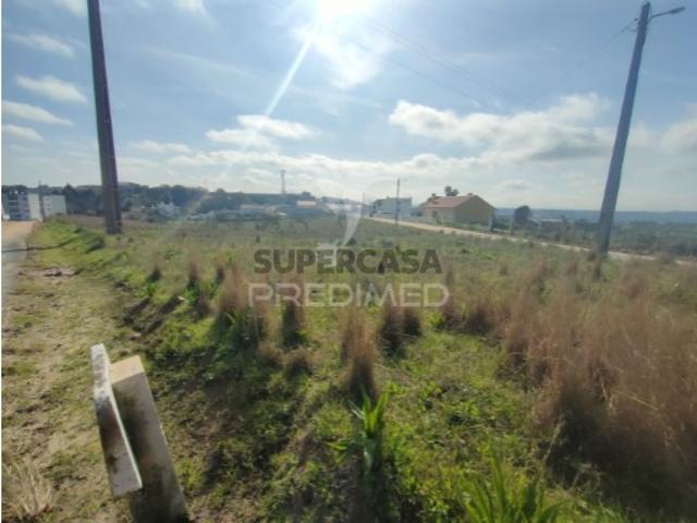 Terreno em Alcanena e Vila Moreira