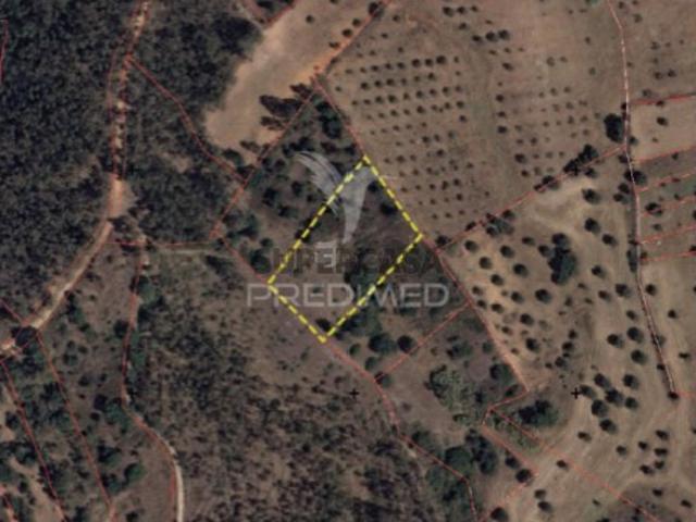 Terreno em Alcanena e Vila Moreira