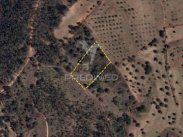 Terreno em Alcanena e Vila Moreira