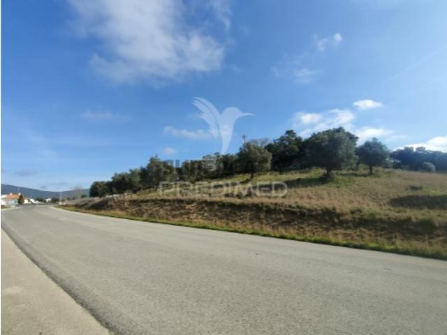 Terreno em Alcanena e Vila Moreira