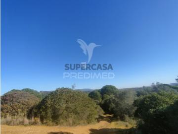 Terreno em Alcanena e Vila Moreira