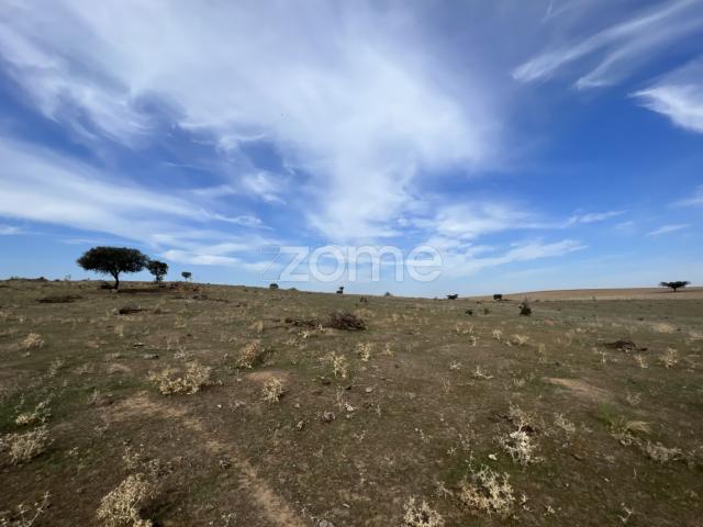 Terreno em Monsaraz