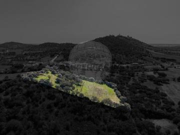 Terreno em Monsaraz