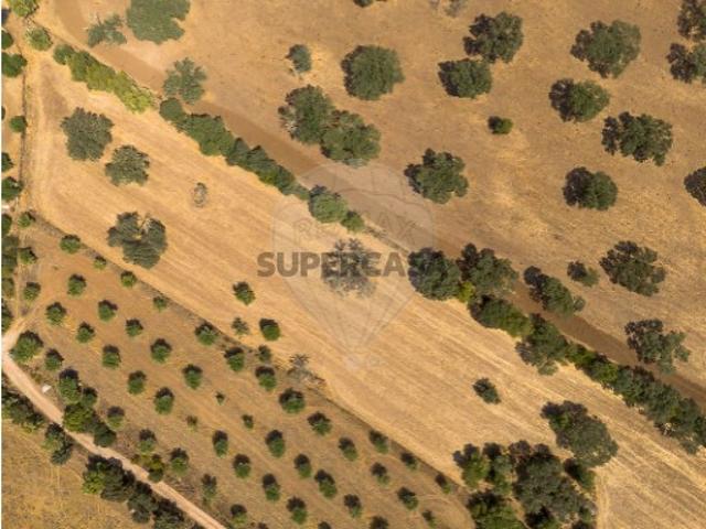 Terreno em Monsaraz