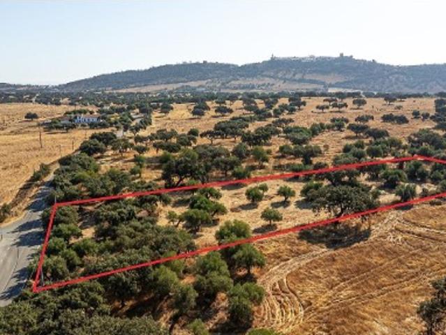 Terreno em Monsaraz