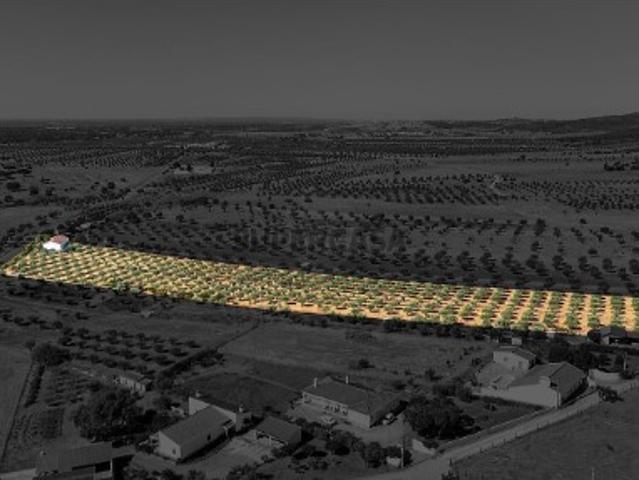 Terreno em Monsaraz