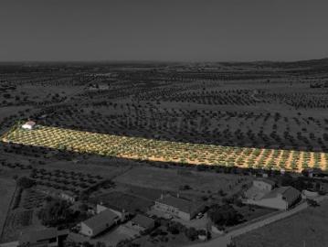 Terreno em Monsaraz