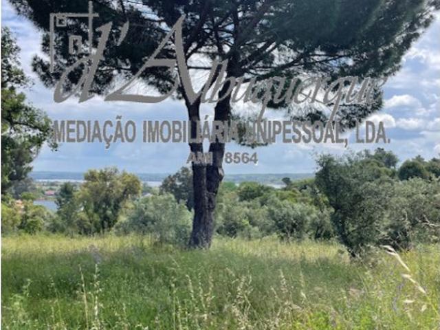 Terreno em Montargil