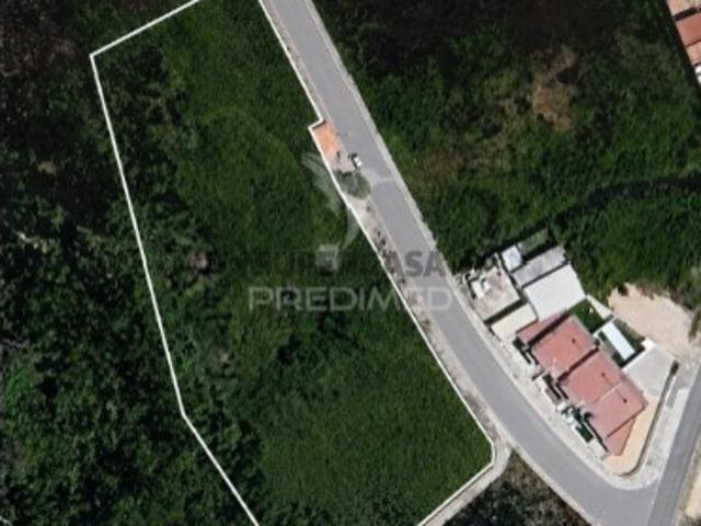 Terreno em Monte Real e Carvide