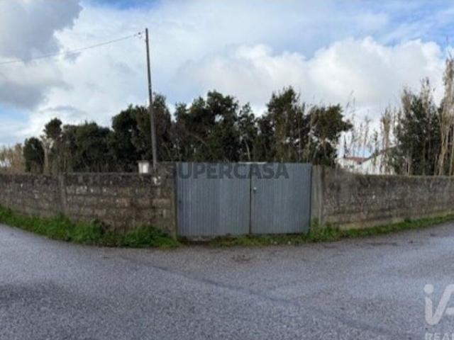 Terreno em Monte Real e Carvide