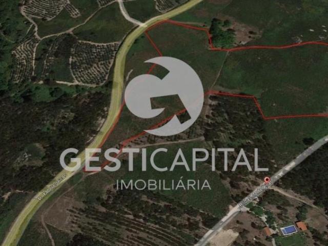 Terreno em Montedeiras com 30.600 m2