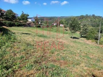 Terreno em Mosteiro da Ribeira, Sernancelhe