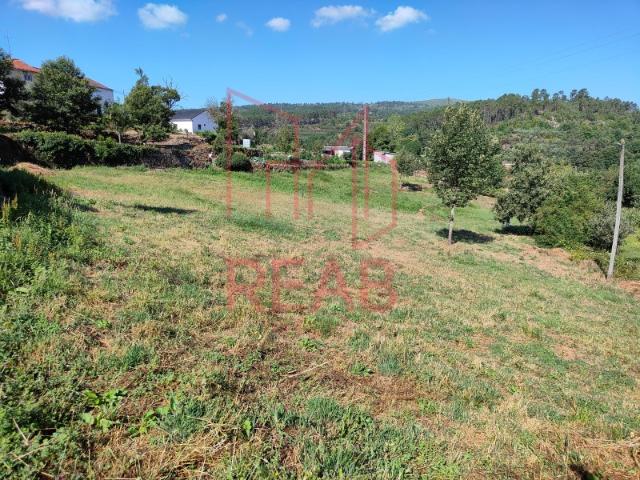 Terreno em Mosteiro da Ribeira, Sernancelhe