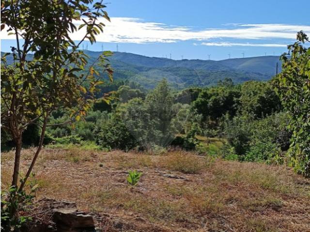 Terreno em Mosteiro