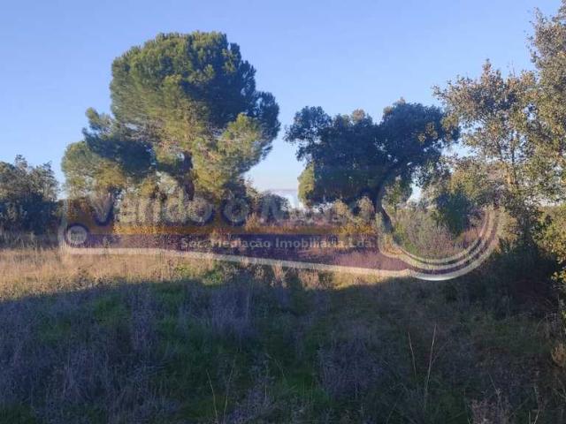 Terreno em Mora MOR088