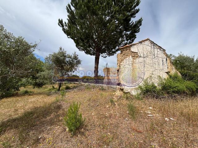 Terreno em Mora MOR095