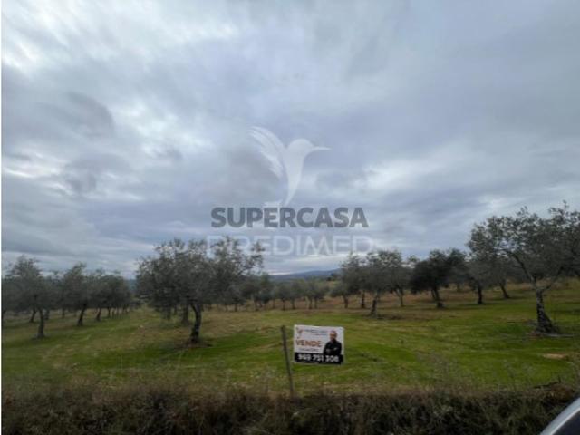 Terreno em Morais