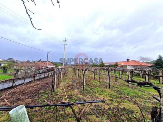 Terreno em Moreira