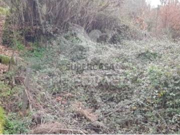 Terreno em Moura Morta e Vinhós