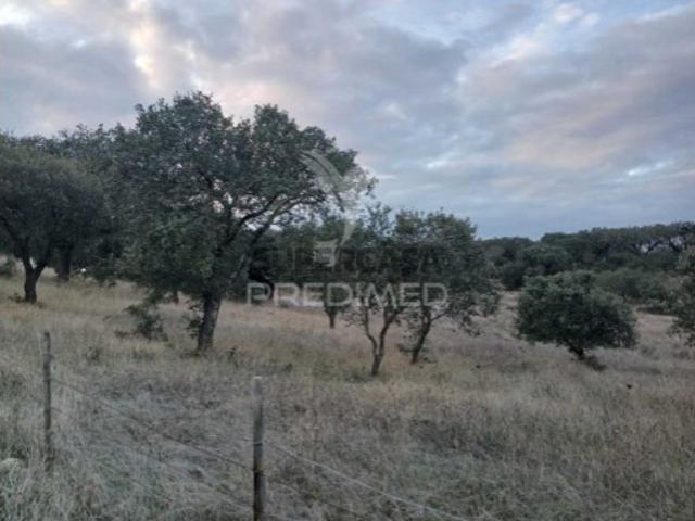 Terreno em Capelins Santo António