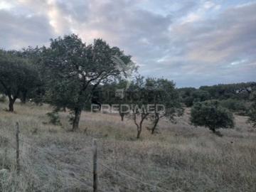 Terreno em Capelins Santo António