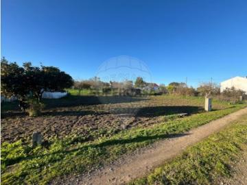 Terreno em Nossa Senhora do Bispo