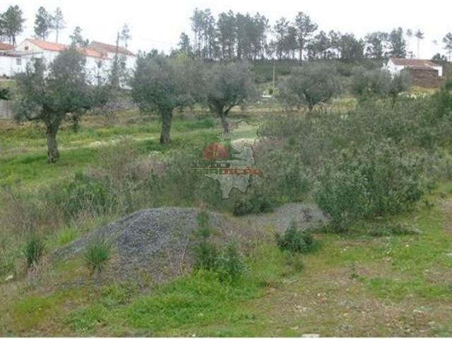 Terreno em Naves