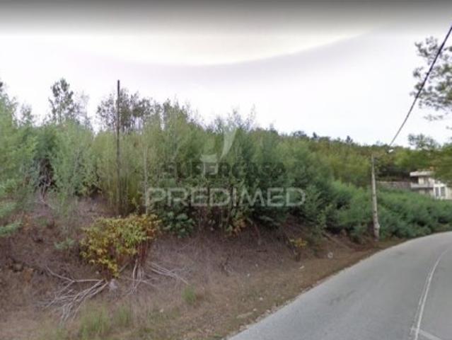 Terreno em Nelas