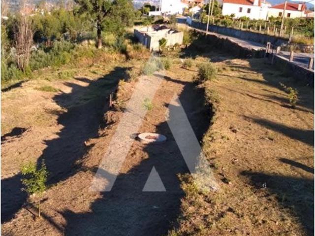 Terreno em Nogueira com viabilidade de construção
