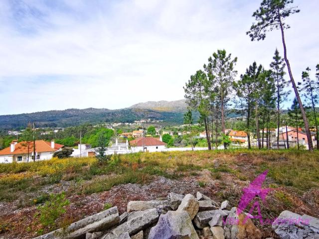 Terreno em Nogueira com vista desafogada